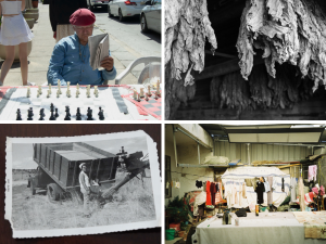 Grid of four photos: man wearing beret reads a newspaper while playing chess; tobacco leaves dry in a barn; a woman works in a field with a truck and equipment; laundry hangs to dry over a table